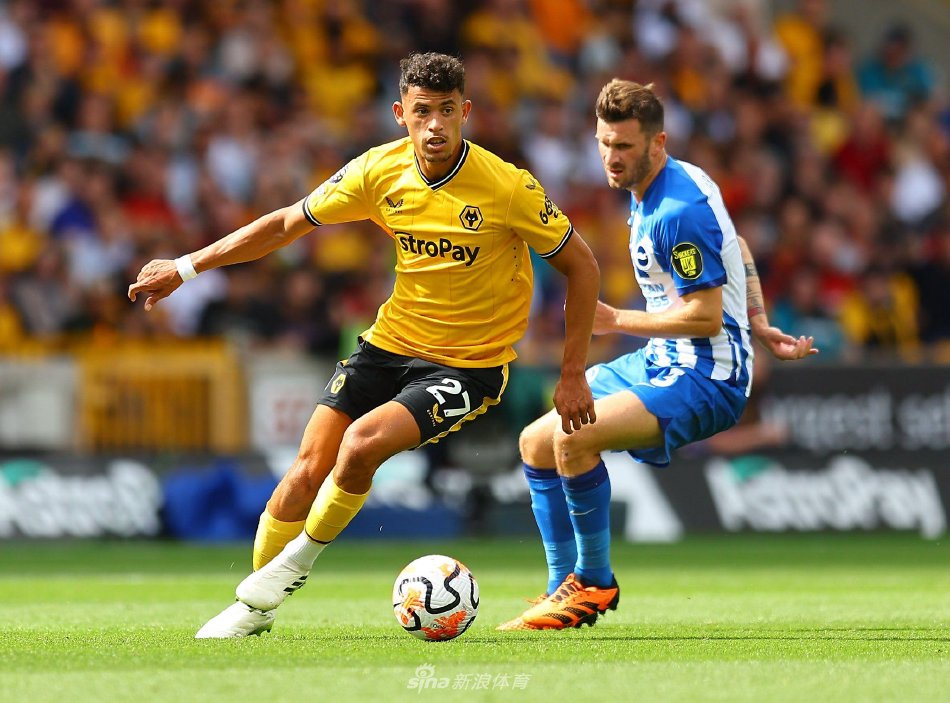 他们常常通 他们常常通